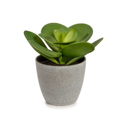 POT DE FLEURS PLANTE FEUILLE ROND GRAND