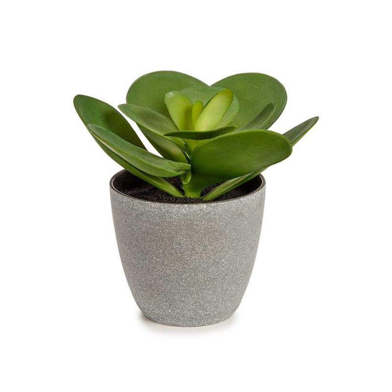 VASO GRANDE PLANTA FOLHA REDONDA 