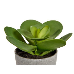 POT PLANT ROUND FULL BIG