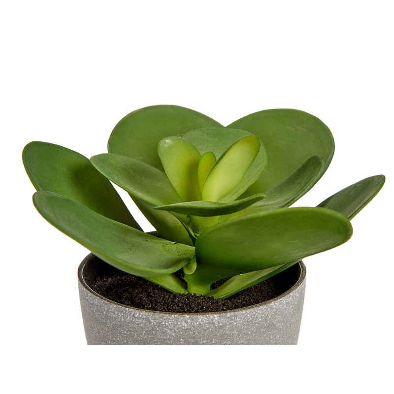 POT DE FLEURS PLANTE FEUILLE ROND GRAND