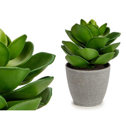 POT DE FLEURS PLANTE FEUILLE LARGE GRAND