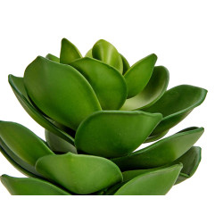 MACETA PLANTA HOJA ANCHA GRANDE