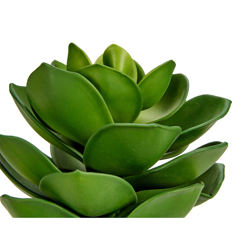 MACETA PLANTA HOJA ANCHA GRANDE