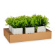 PLANTA ARTIFICIAL CEMENTO BLANCA