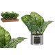 ARTIFICIAL GREEN PLANT SILVER METAL POT