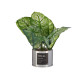 PLANTE ARTIFICIELLE VERT POT ARGENTE