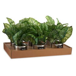 PLANTE ARTIFICIELLE VERT POT ARGENTE