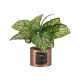 PLANTE ARTIFICIELLE VERT POT CUIVRE
