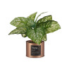 ARTIFICIAL GREEN PLANT COPPER METAL POT