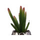 ARTIFICIAL CACTUS SILVER CERAMIC POT