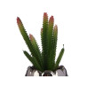 CACTUS ARTIFICIAL MACETA CERAMICA PLATA
