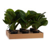 PLANTE ARTIFICIELLE POT DE FLEURS PLASTIQUE NOIR