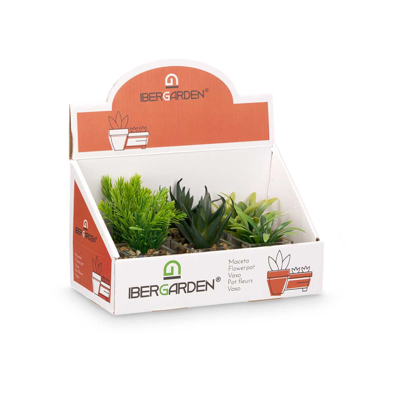 MACETA VIDRIO PLANTA SURT 3