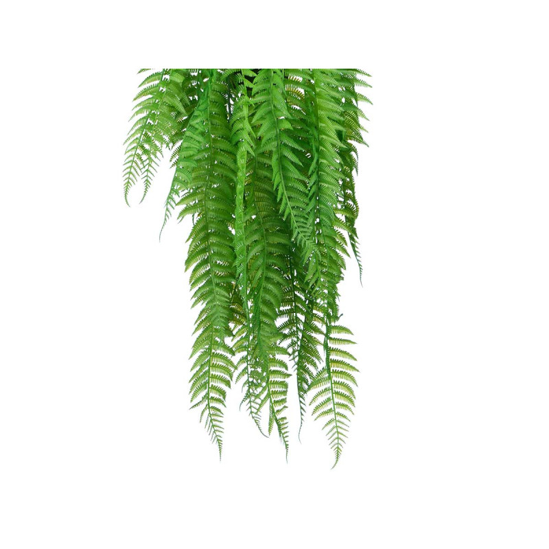 BIG HANGING FERN PLANT