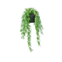 PLANTE SUSPENDUE FEUILLE COUPÉE MOYEN