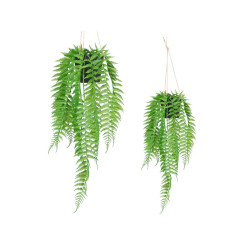 SMALL HANGING FERN PLANT