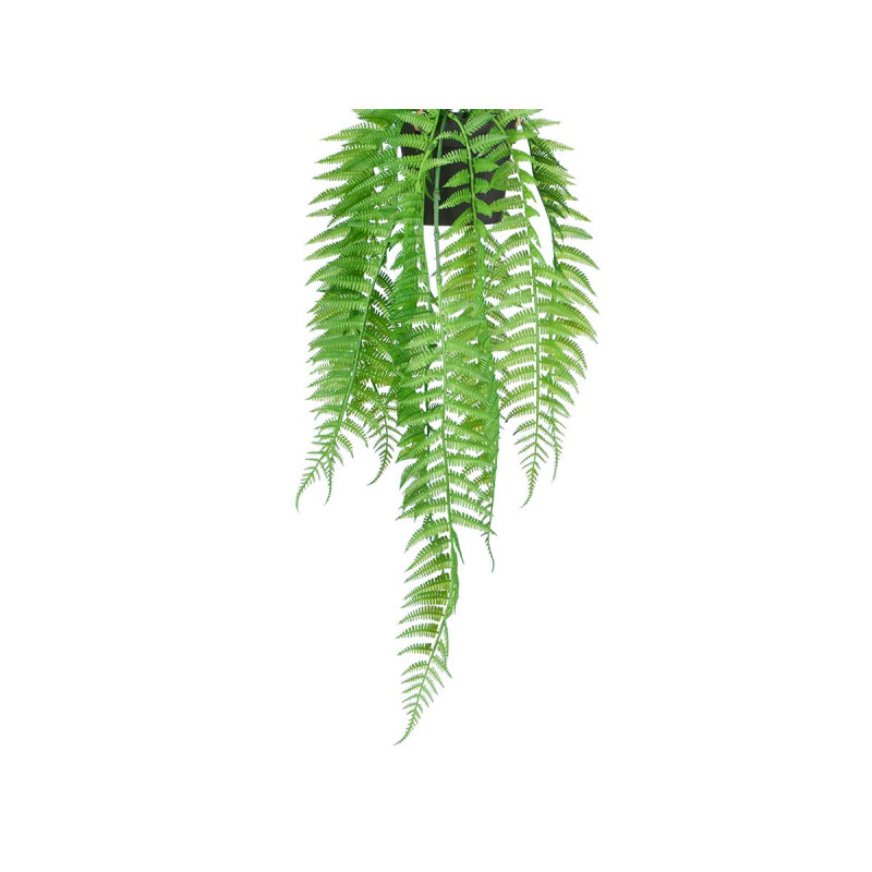 SMALL HANGING FERN PLANT