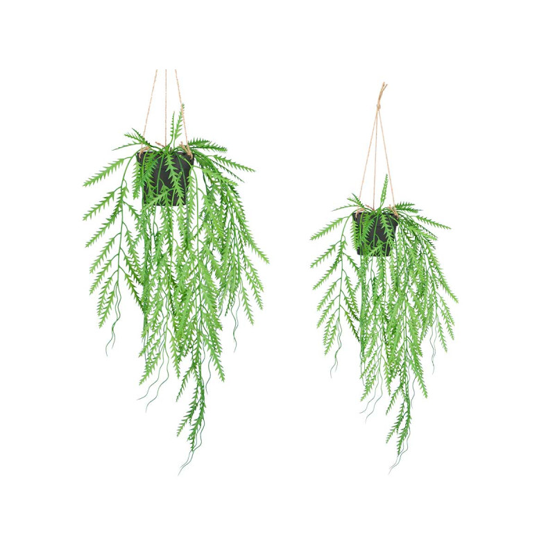 PLANTE SUSPENDUE FEUILLE LARGE