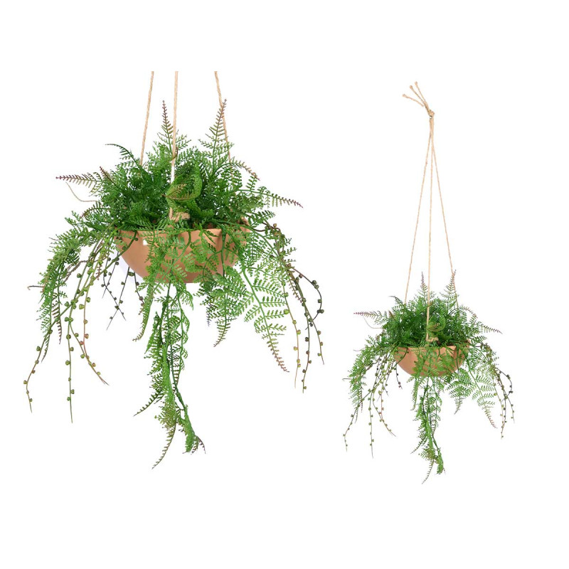 TERRACOTTA POT HANGING FERN