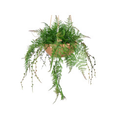TERRACOTTA POT HANGING FERN