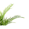 PLANTA ARECA ARTIFICIAL 90CM