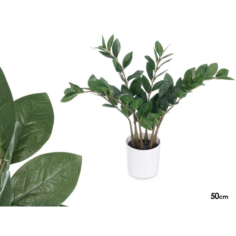 PLANTA ZAMIOCULCA 50CM