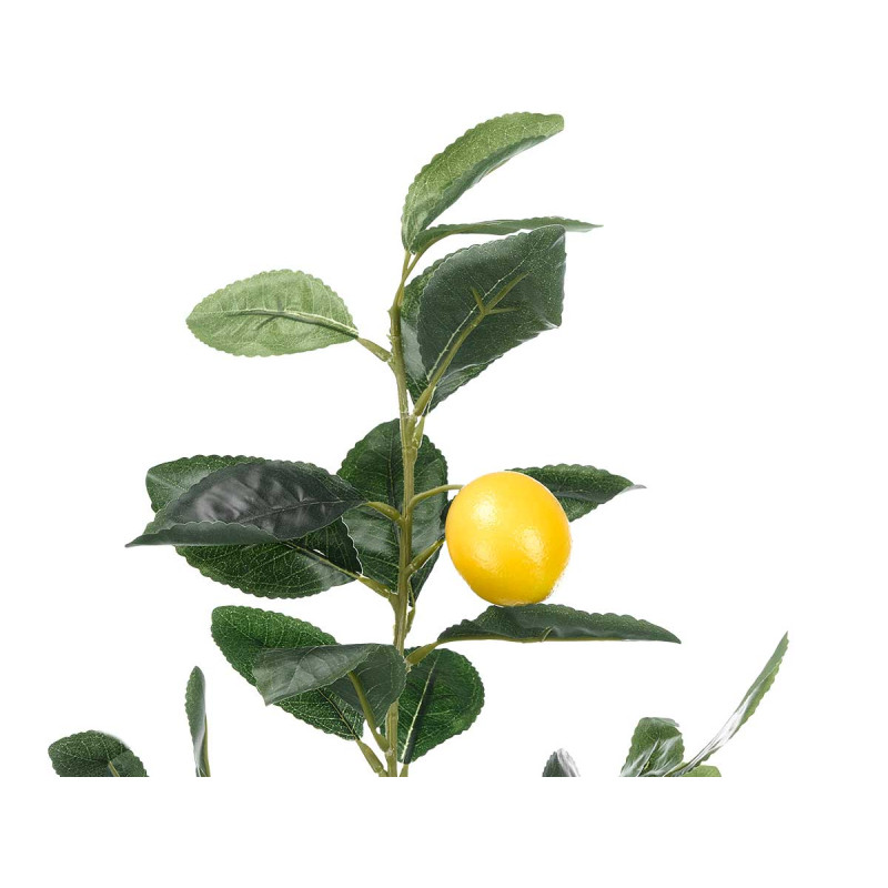 PLANTA LIMONERO 58CM