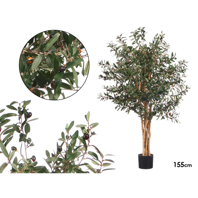 SMALL OLIVE TREE POT