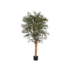 MACETA OLIVO MEDIANA