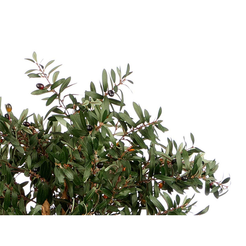 MEDIUM OLIVE TREE POT