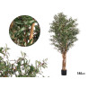 BIG OLIVE TREE POT