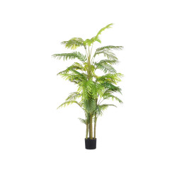 GRAND POT PALMIER