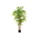 SMALL BAMBOO TREE POT