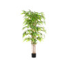 MEDIUM BAMBOO TREE POT