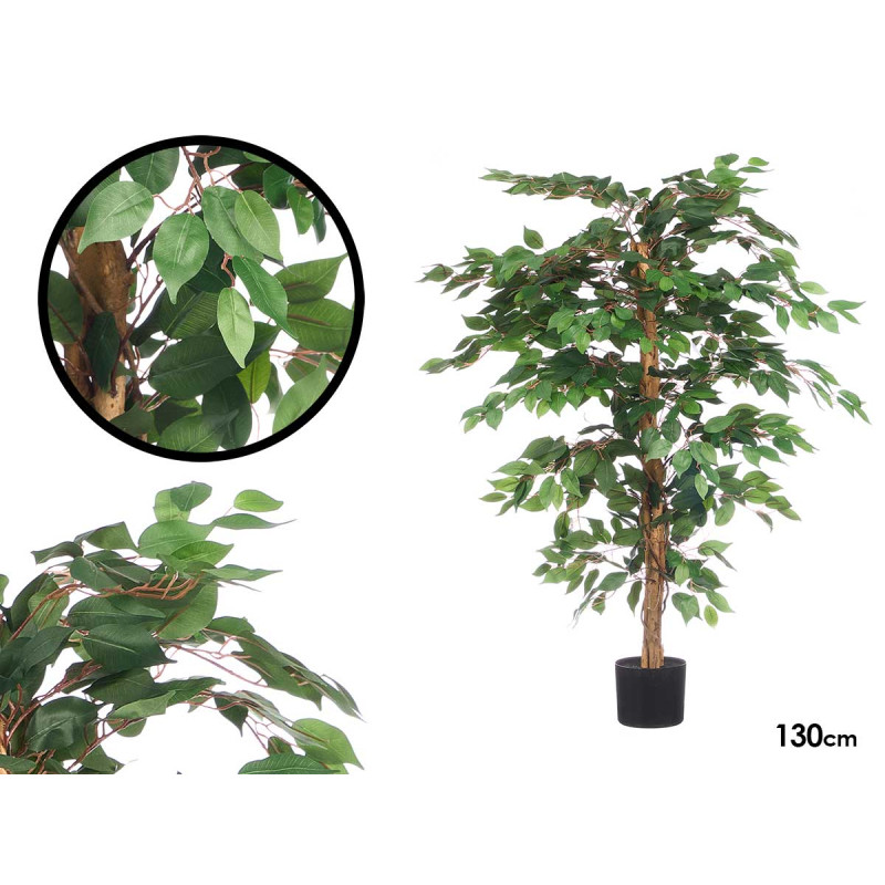 SMALL FICUS TREE POT
