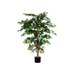 SMALL FICUS TREE POT
