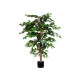 PETIT POT FICUS