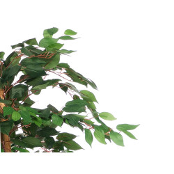 VASO FICUS PEQUENO
