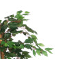 SMALL FICUS TREE POT