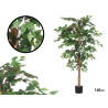 MEDIUM FICUS TREE POT