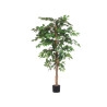 MACETA FICUS MEDIANA