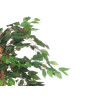 MEDIUM FICUS TREE POT