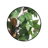 MEDIUM FICUS TREE POT