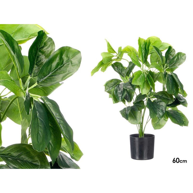 POT PLANTES À FEUILLES OVALES 60CM