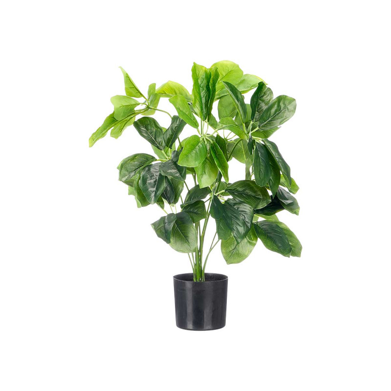 MACETA PLANTA HOJAS OVALADAS 60CM