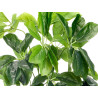 MACETA PLANTA HOJAS OVALADAS 60CM