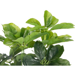 VASO PIANTA FOGLIE OVALI 80CM