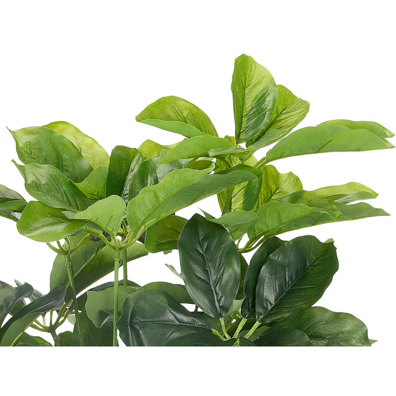 POT PLANTES À FEUILLES OVALES 80CM