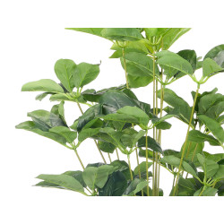 90CM POTTED PLANT WITH OVAL LEAVES