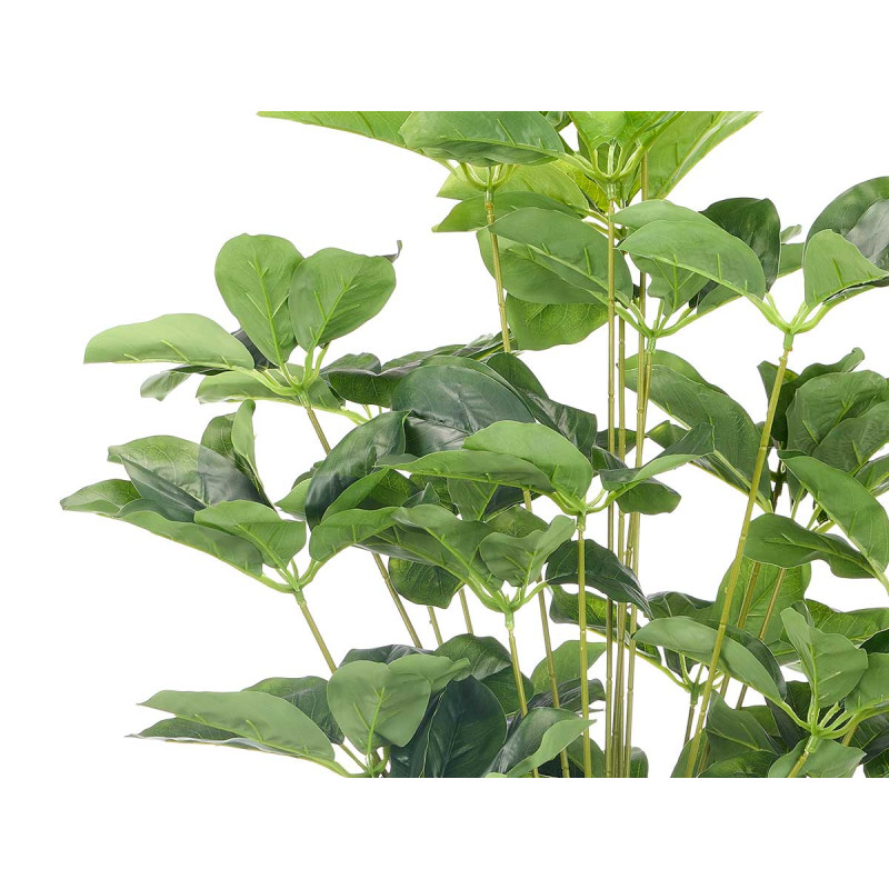 POT PLANTES À FEUILLES OVALES 90CM